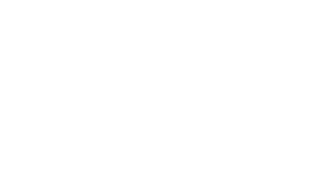 Hybrid Hive